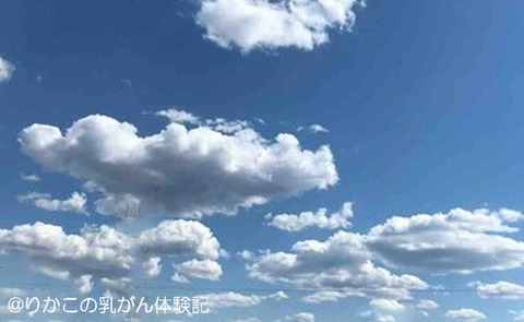 2020/04/30　暖かな午後