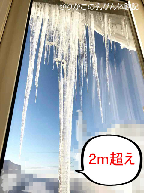 2019/01/30　朝　①