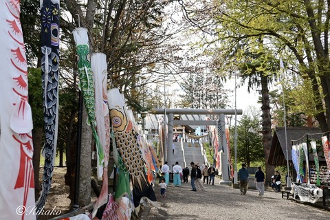 2026/05/05 美幌神社 ③