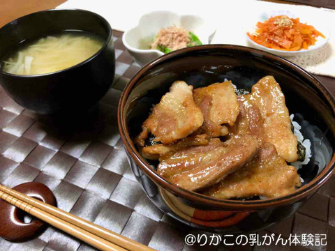 2019/11/14 豚 丼