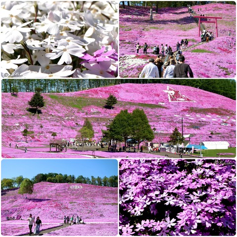 2024/12/03　想い出　～2024～　⑧