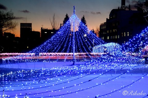 2024/12/18　イルミネーション　②