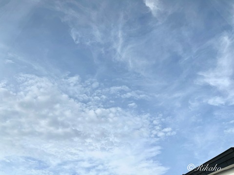 2025/07/31 朝の空