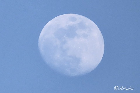2026/03/01　夕方の月