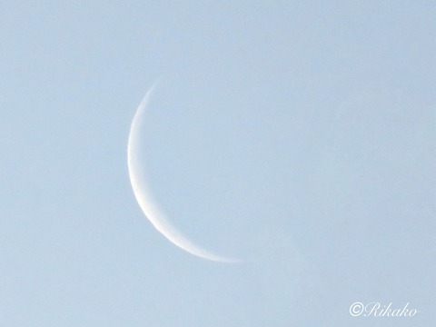 2024/12/28 逆四日月