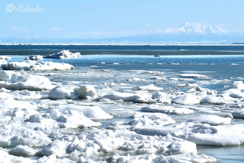 2025/02/24　流　氷　②