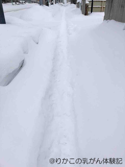 2019/01/29　検査　①