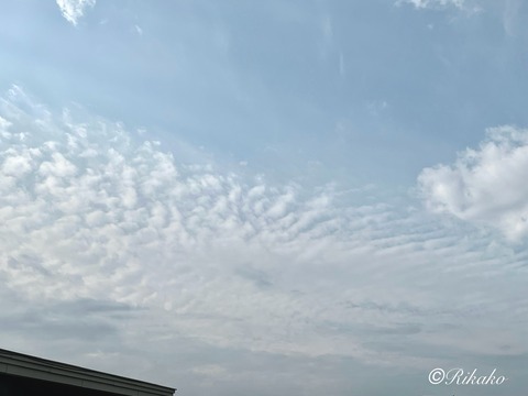 2025/06/27　雨上がりの朝の空