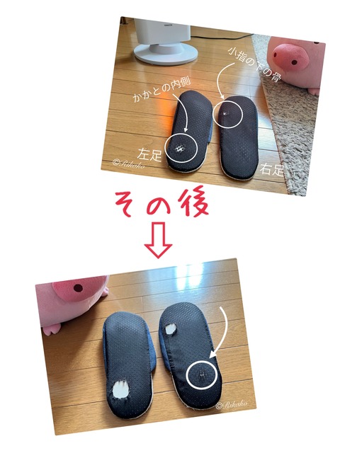 2024/12/30 減りかた