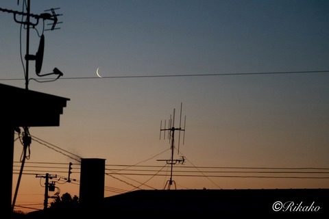 2026/01/16　マジックアワーと新月3日前の月　①