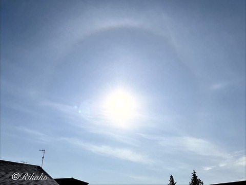2026/03/27 ハ ロ ①