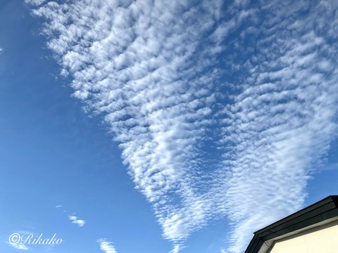 2024/09/05 朝の空 ①