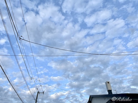 2026/05/18　夕方の空　③