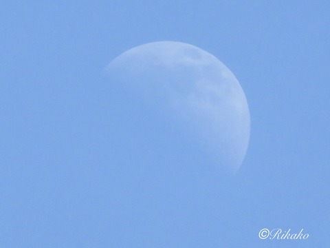 2023/06/26 上弦の月 ①