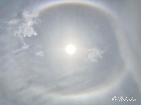 2022/06/28　ハ　ロ