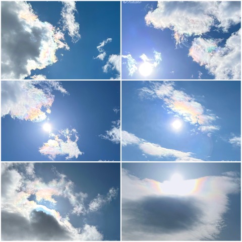 2026/07/05　彩　雲　③