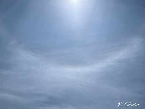 2026/06/18　ハ　ロ　②