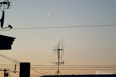 2026/01/16　マジックアワーと新月3日前の月　③