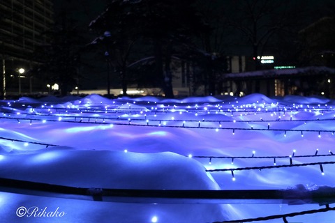 2025/12/28　イルミネーション　③