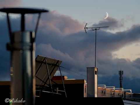 2025/08/27　四日月