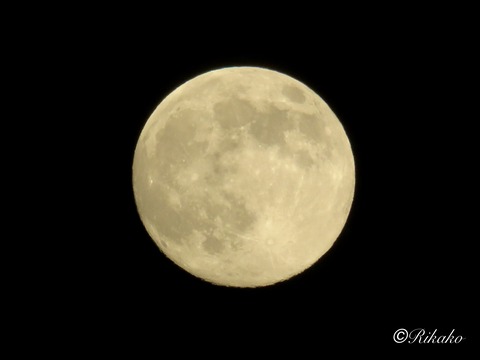 2025/12/04　満月前夜　①