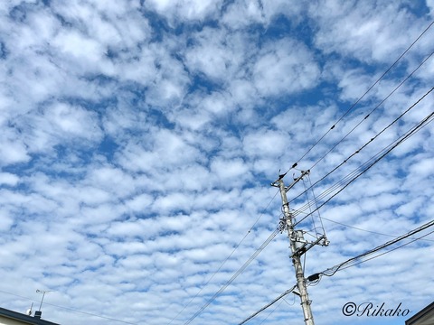 2024/08/06 うろこ雲 ①