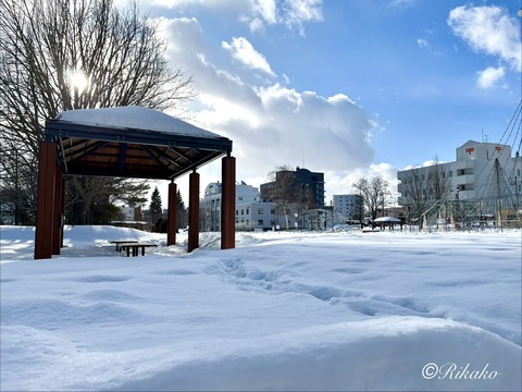 2026/01/21　がんサロン　③