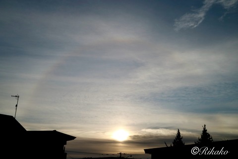 2024/11/06　朝ハロ　③