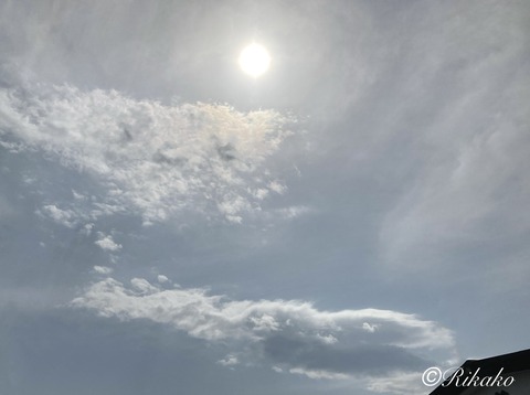 2022/03/30　空
