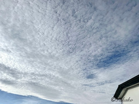 2024/09/05 朝の空 ③