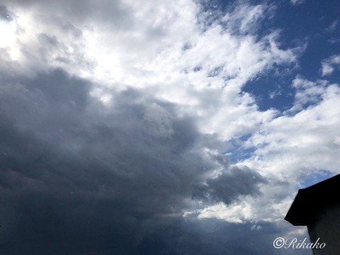 2021/08/31　朝の空　③