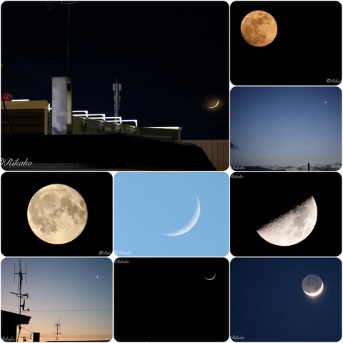 2026/07/07　上半期 月 BEST 9　①