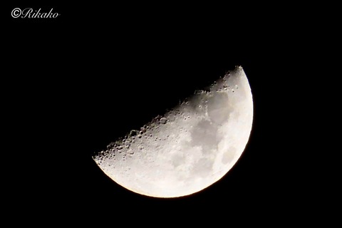 2026/02/25 昨夜の上弦の月
