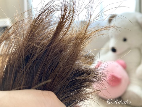 2022/05/25 ヘアドネーション