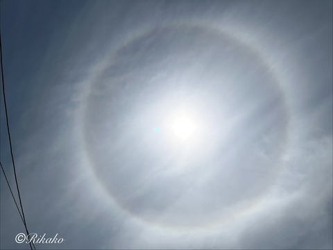 2026/06/30　ハ　ロ　②