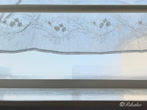 2025/09/12 初結露