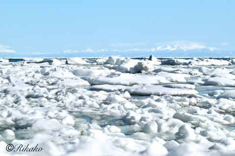 2025/02/24　流　氷　③