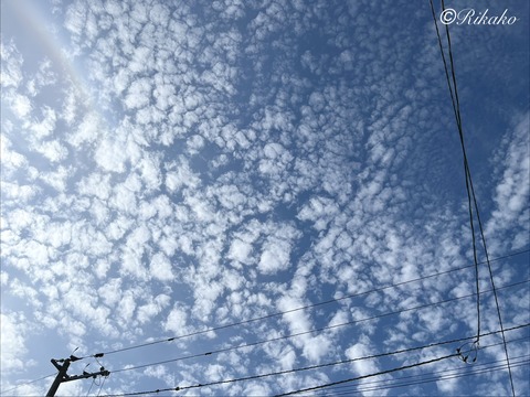 2026/07/05　うろこ雲と彩雲　①