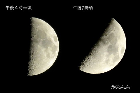 2025/11/28　上弦の月