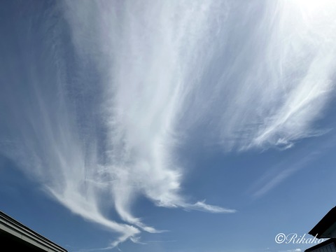 2026/08/03　空