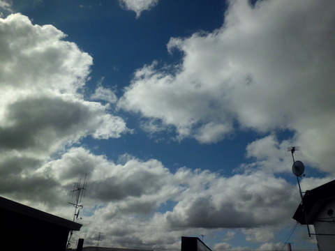 朝 ~久し振りの青空~