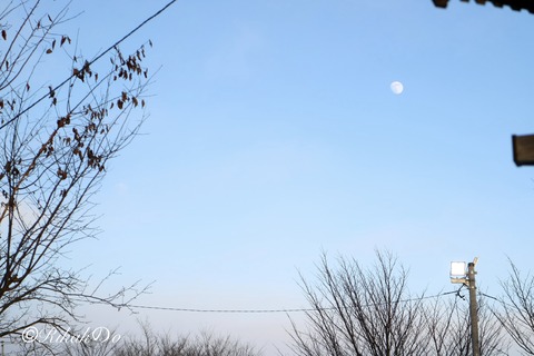 2026/01/01 初月の出
