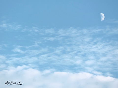 2025/08/31　上弦の月
