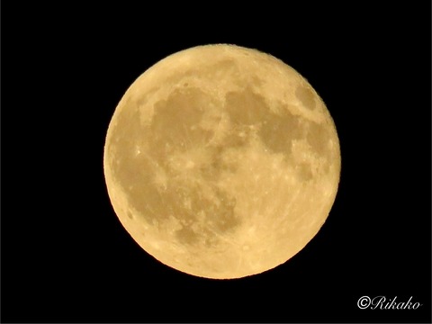 2025/07/11 満 月
