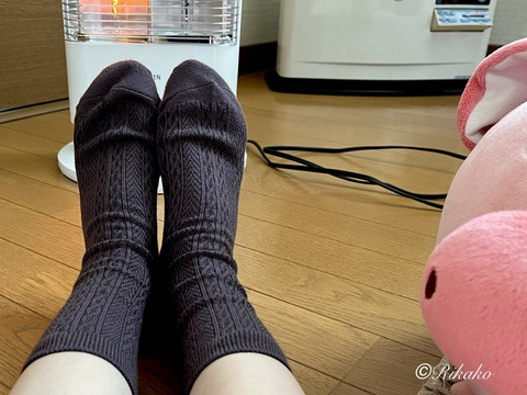 2025/12/02　靴　下