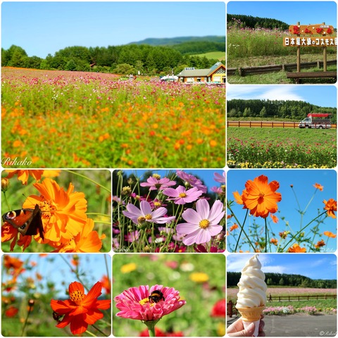 2024/12/03　想い出　～2024～　⑪