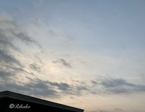 2021/11/30　朝の空　①