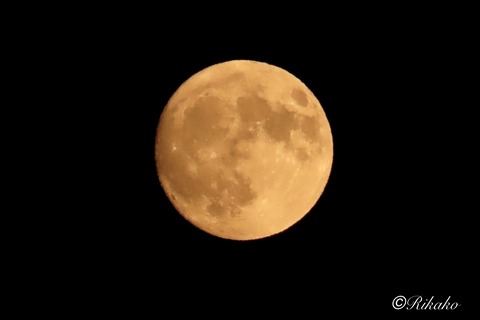 2026/07/29 昨夜の月