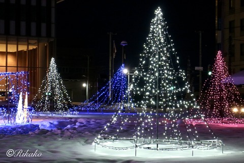 2025/12/28　イルミネーション　⑤