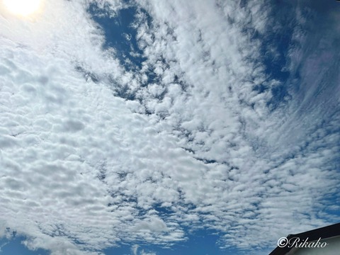 2025/08/08 朝の空